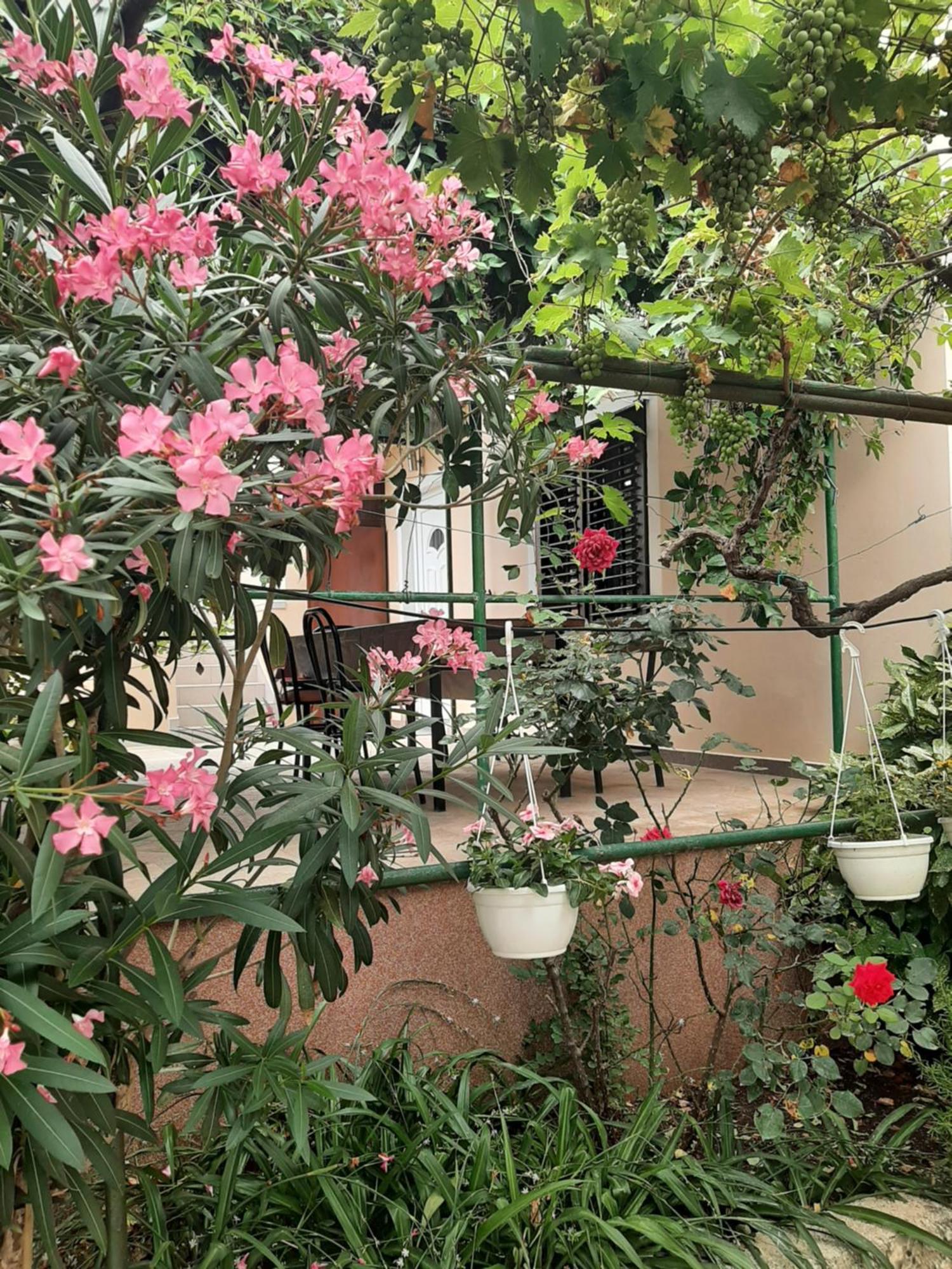 Apartmani Marija ポヴリャナ 部屋 写真