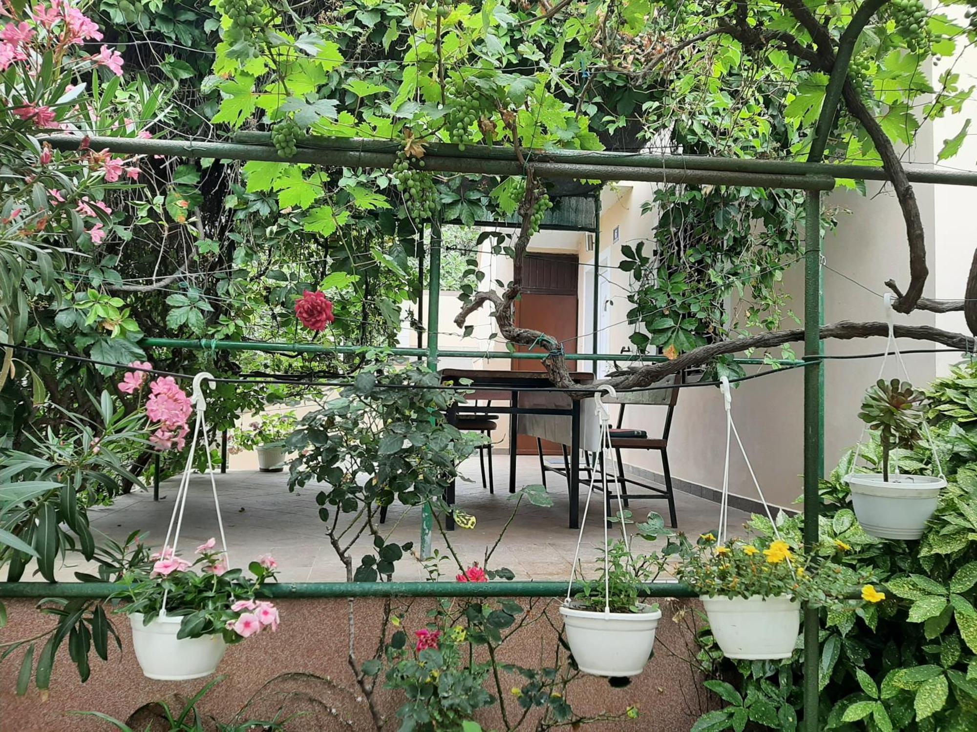 Apartmani Marija ポヴリャナ 部屋 写真